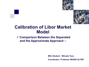 Libor Market Models