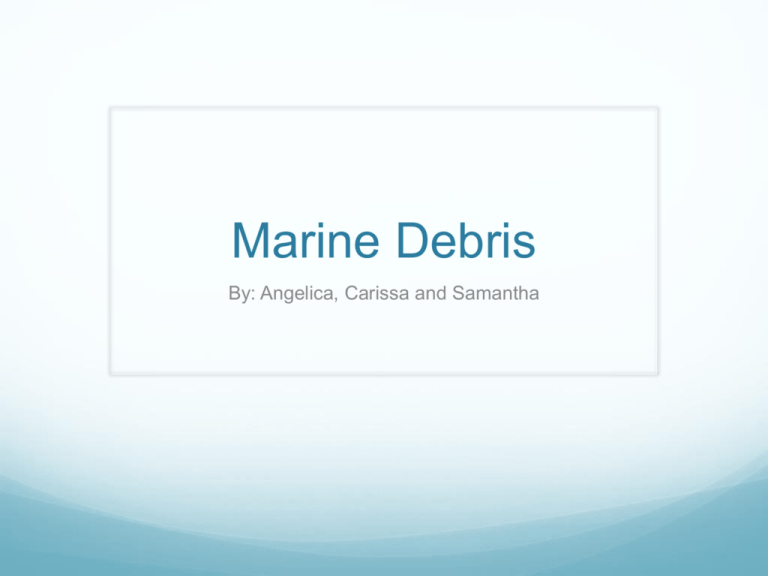 Marine Debris