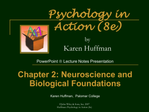 Biopsychology, Neuroscience, Physiological Psychology: