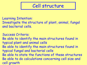 Key Area 1 Cell Structure
