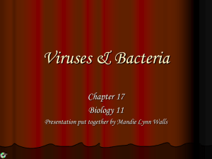 Viruses & Bacteria - World of Teaching