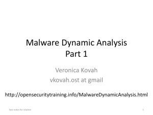 Malware Dynamic Analysis