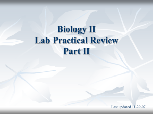 Biology II Lab Practical Review Part II