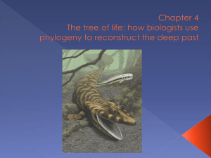 Topic 16 Phylogenetics