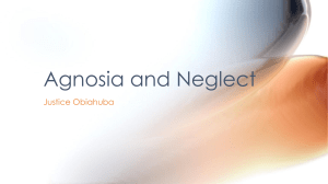 Agnosia and Neglect
