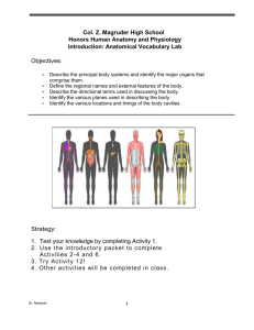 HonorsHuman Anatomy and Physiology