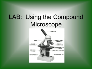 Using the Compound Microscope