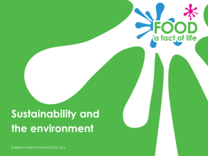 Sustainability and the environment.