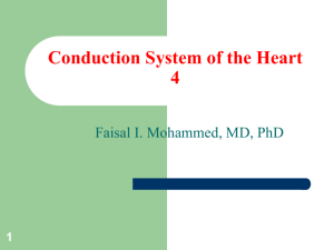 Cardiac output and Venous Return