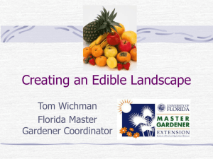 Edible Landscape PowerPoint