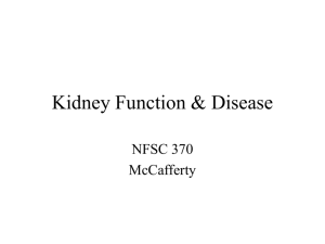 Kidney Function & Disease