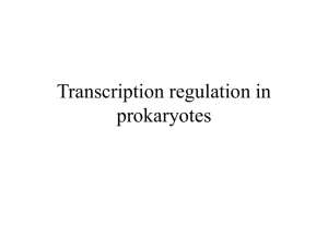Transcription control in prokaryotes