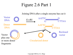 animations of selected figures