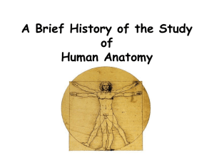 A Brief History of the Study of Human Anatomy