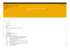 SAP Offline Word Template
