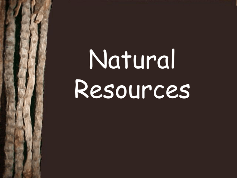 what-are-natural-resources