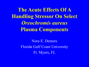 The Acute Effects Of A Handling Stressor On Select Oreochromis