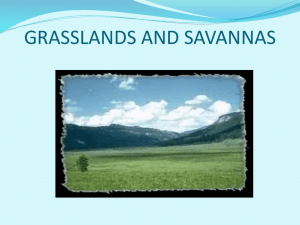 PowerPoint Presentation - GRASSLANDS AND SAVANNAS