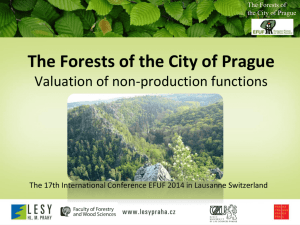 The Forests of the City of Prague