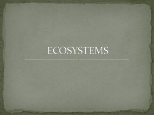 Ecosystems (Powerpoint)
