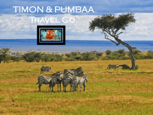 TIMON & PUMBAA Travel Co. - Mercer Island School District