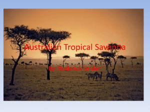 Roderick_Australian Tropical Savanna