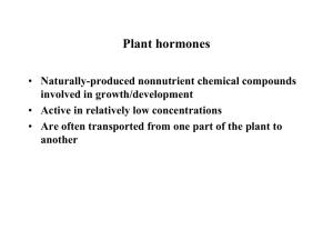 plant hormones lec9 - An