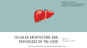 Cellular Architecture and Physiology of the Liver