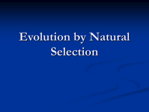 Evolution by Natural Selection - HomePage Server for UT Psychology