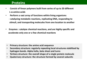 Protein Engineering - Biomolecular Engineering Laboratory