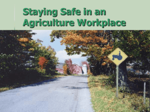 Staying Safe in an Agriculture Workplace