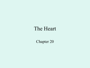 Chapter 20 - Martini
