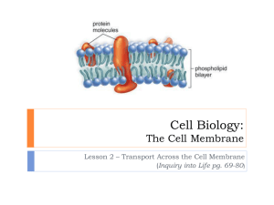 Transport across the Cell Membrane