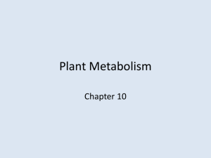 Photosynthesis - clarkdanderson