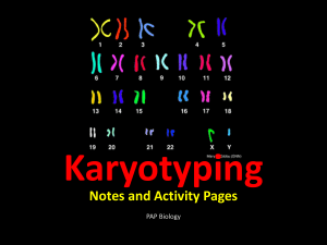 File 1-karyotype notes 2014