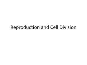 Reproduction and Cell Division