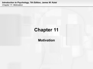 Chapter 11: Motivation