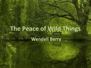 The Peace of Wild Things