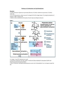Pathways of Carbohydrate and Lipid Metabolism - PBL-J-2015