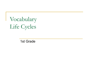Vocabulary Life Cycles
