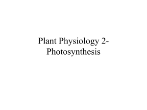 Ch. 4 Plant Physiology