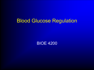 Equations for blood glucose regulation model