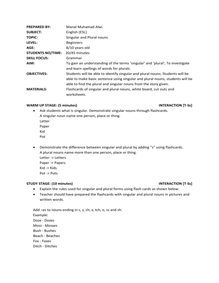 Singular Plural Lesson Plan For Kindergarten