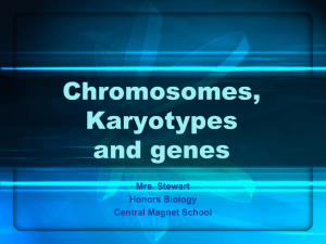 chromosome map - Central Magnet School