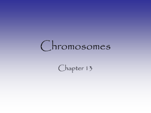 Chromosomes