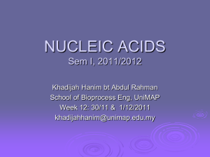 nucleotides - UniMAP Portal