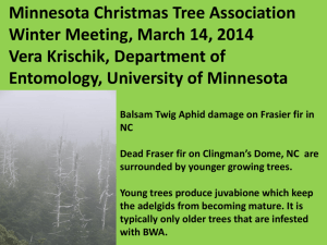 Minnesota Christmas Tree Association Winter Meeting, March 14