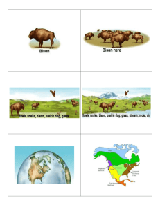 Population Individual Organism Ecosystem Community Biomes