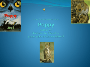 A Tale form Dimwood Forest Poppy Author Avi illustrator by Brian