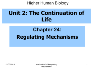 Chapter 24 Regulating Mechanisms